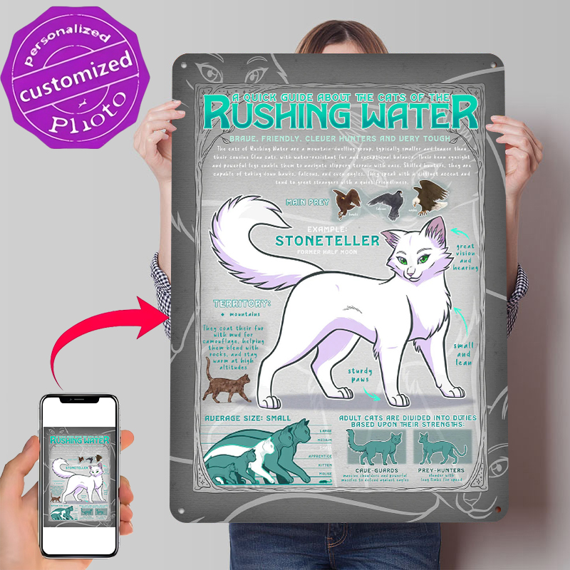 Retro Gaming Guide - Guide to Rushing Water Cats Blechposter,